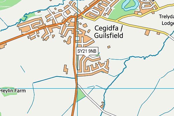 SY21 9NB map - OS VectorMap District (Ordnance Survey)