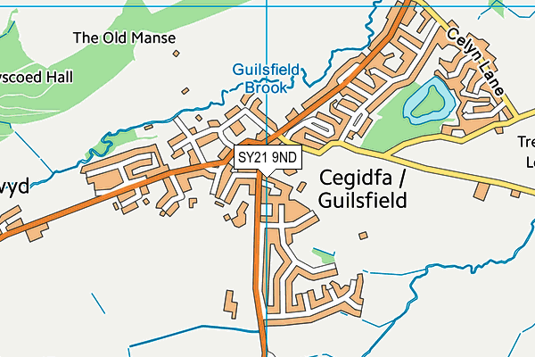 Guilsfield C.P. School map (SY21 9ND) - OS VectorMap District (Ordnance Survey)