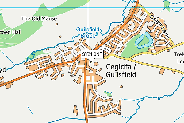 SY21 9NF map - OS VectorMap District (Ordnance Survey)