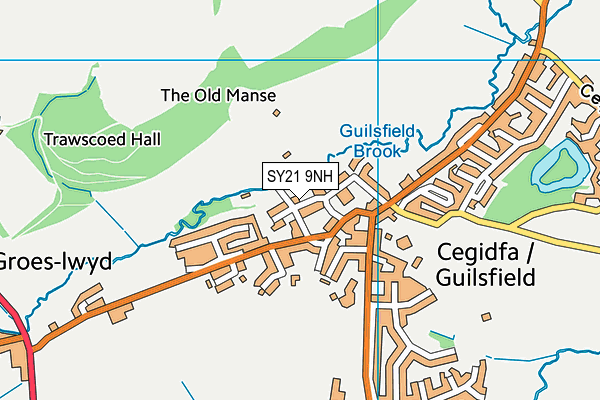 SY21 9NH map - OS VectorMap District (Ordnance Survey)