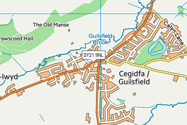 SY21 9NL map - OS VectorMap District (Ordnance Survey)