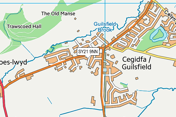 SY21 9NN map - OS VectorMap District (Ordnance Survey)