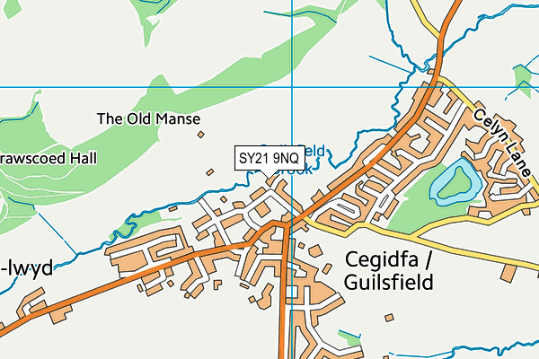 SY21 9NQ map - OS VectorMap District (Ordnance Survey)