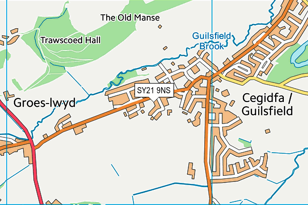 SY21 9NS map - OS VectorMap District (Ordnance Survey)