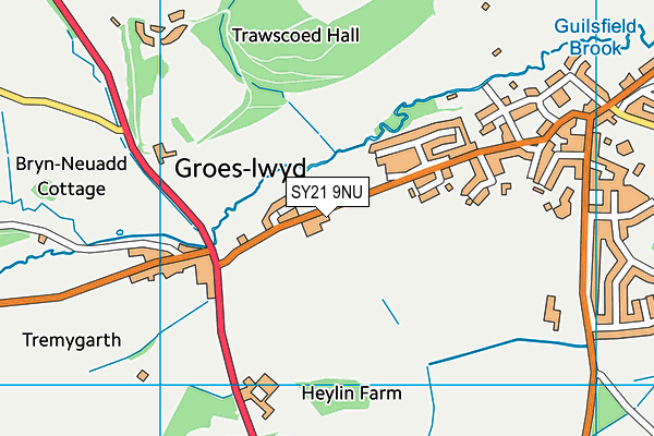 SY21 9NU map - OS VectorMap District (Ordnance Survey)