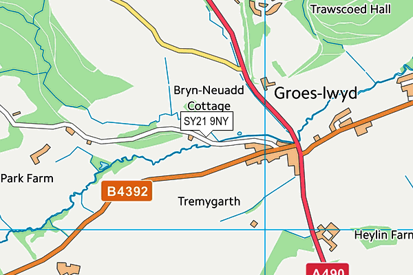 SY21 9NY map - OS VectorMap District (Ordnance Survey)