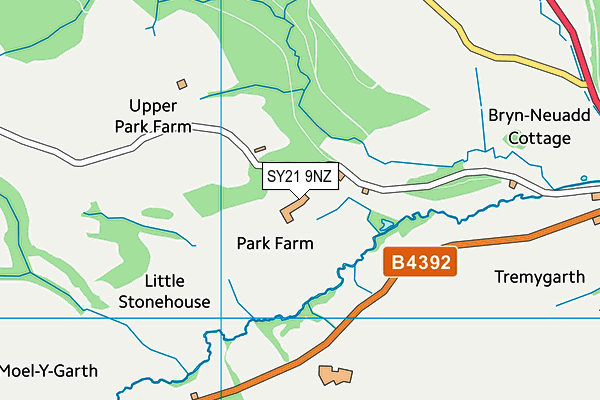 SY21 9NZ map - OS VectorMap District (Ordnance Survey)