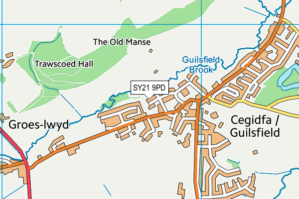 SY21 9PD map - OS VectorMap District (Ordnance Survey)