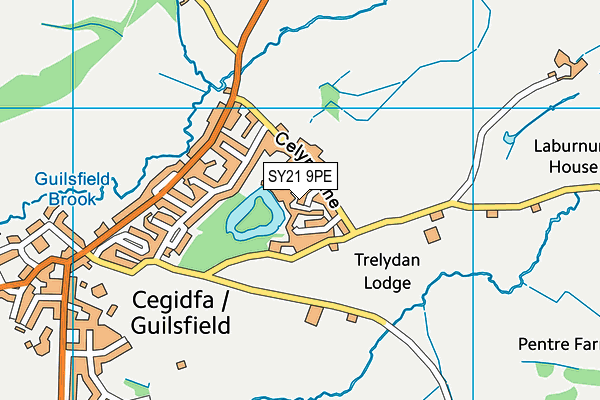 SY21 9PE map - OS VectorMap District (Ordnance Survey)