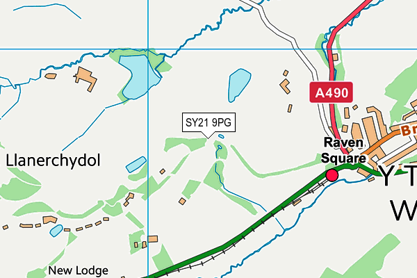 SY21 9PG map - OS VectorMap District (Ordnance Survey)