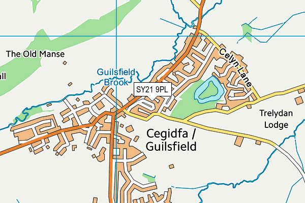 SY21 9PL map - OS VectorMap District (Ordnance Survey)