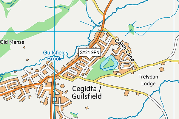 SY21 9PN map - OS VectorMap District (Ordnance Survey)