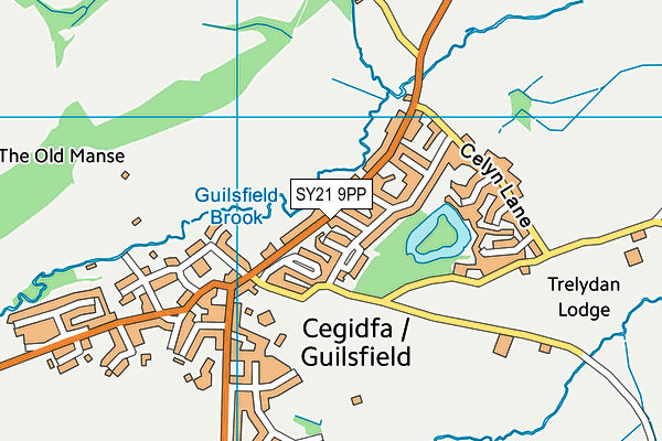 SY21 9PP map - OS VectorMap District (Ordnance Survey)