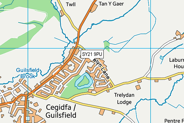 SY21 9PU map - OS VectorMap District (Ordnance Survey)