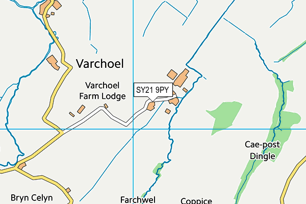 SY21 9PY map - OS VectorMap District (Ordnance Survey)