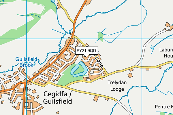 SY21 9QD map - OS VectorMap District (Ordnance Survey)