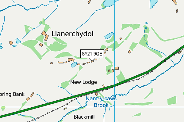 SY21 9QE map - OS VectorMap District (Ordnance Survey)