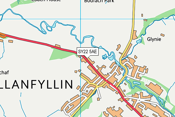 SY22 5AE map - OS VectorMap District (Ordnance Survey)