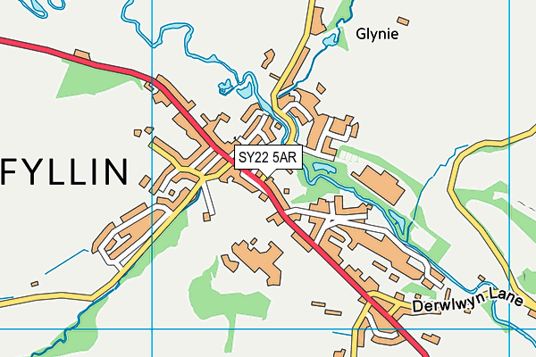 SY22 5AR map - OS VectorMap District (Ordnance Survey)