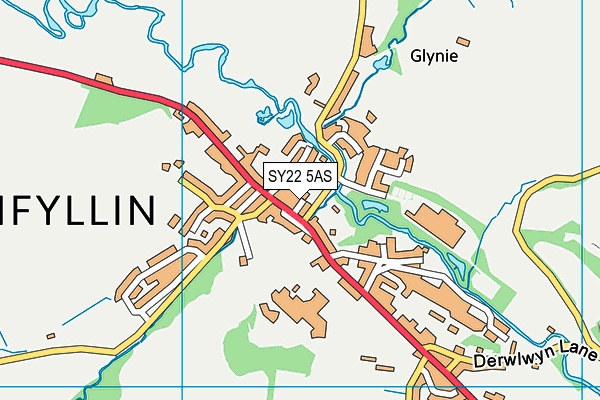 SY22 5AS map - OS VectorMap District (Ordnance Survey)