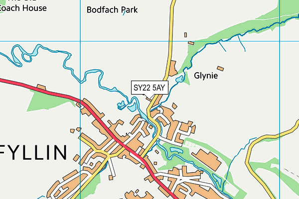 SY22 5AY map - OS VectorMap District (Ordnance Survey)