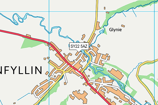 SY22 5AZ map - OS VectorMap District (Ordnance Survey)