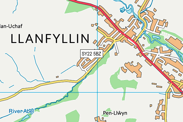 SY22 5BZ map - OS VectorMap District (Ordnance Survey)