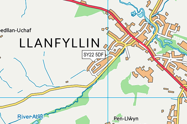 SY22 5DF map - OS VectorMap District (Ordnance Survey)