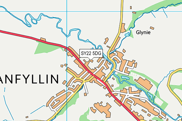 SY22 5DG map - OS VectorMap District (Ordnance Survey)