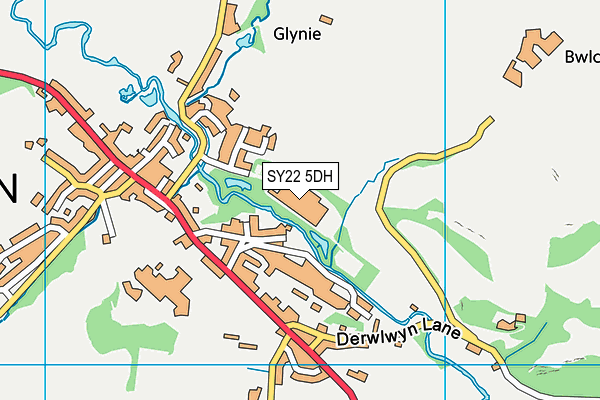 SY22 5DH map - OS VectorMap District (Ordnance Survey)