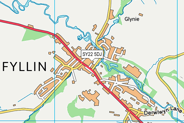 SY22 5DJ map - OS VectorMap District (Ordnance Survey)