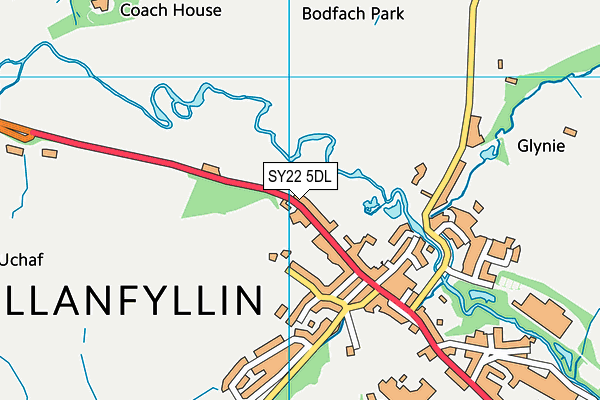 SY22 5DL map - OS VectorMap District (Ordnance Survey)