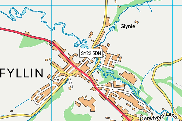 SY22 5DN map - OS VectorMap District (Ordnance Survey)