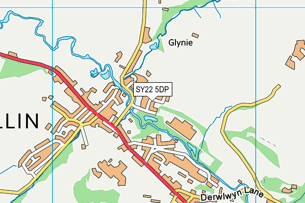 SY22 5DP map - OS VectorMap District (Ordnance Survey)