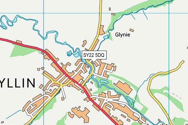 SY22 5DQ map - OS VectorMap District (Ordnance Survey)