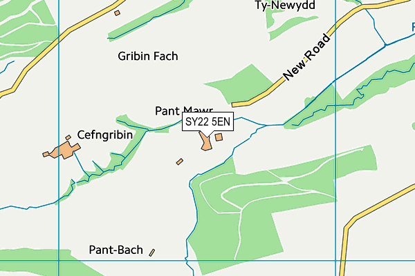 SY22 5EN map - OS VectorMap District (Ordnance Survey)