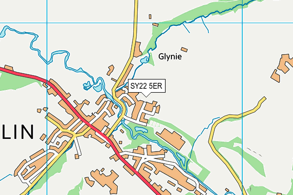 SY22 5ER map - OS VectorMap District (Ordnance Survey)