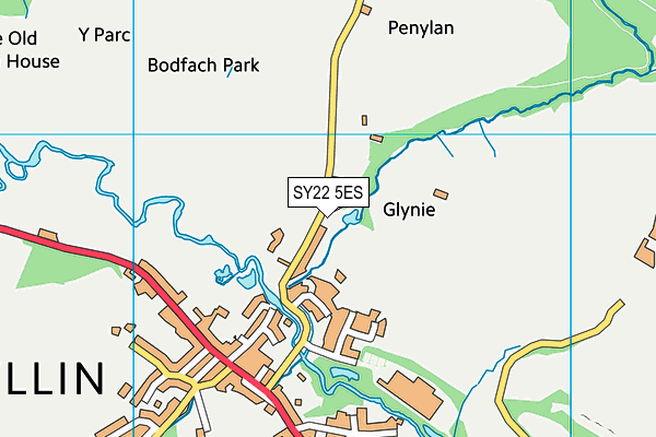 SY22 5ES map - OS VectorMap District (Ordnance Survey)