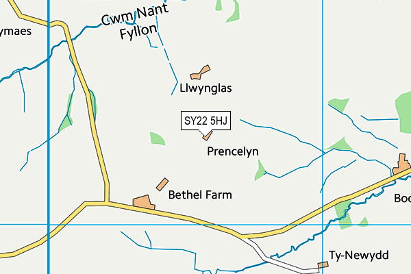 SY22 5HJ map - OS VectorMap District (Ordnance Survey)
