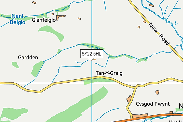 SY22 5HL map - OS VectorMap District (Ordnance Survey)