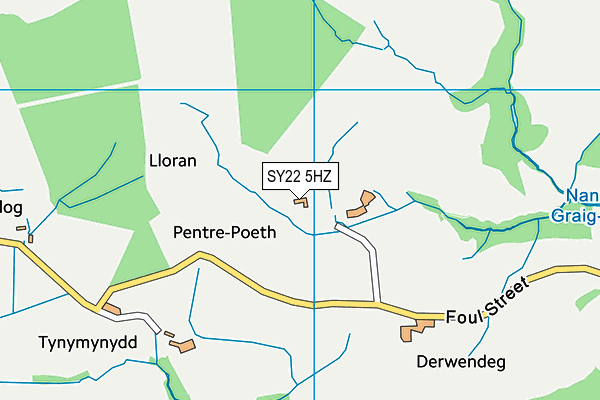 SY22 5HZ map - OS VectorMap District (Ordnance Survey)