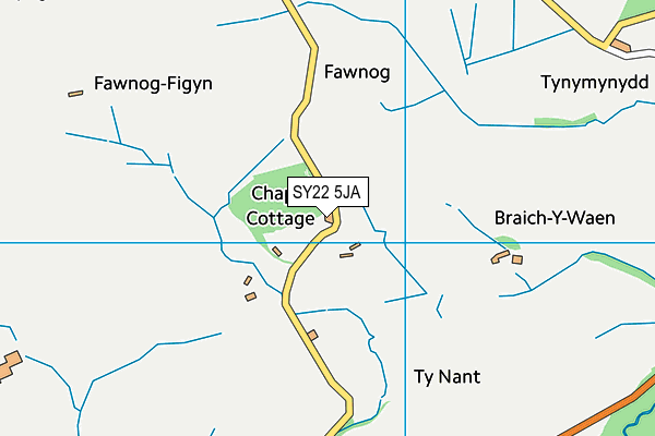 SY22 5JA map - OS VectorMap District (Ordnance Survey)