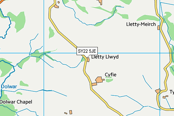SY22 5JE map - OS VectorMap District (Ordnance Survey)