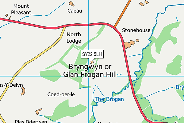 SY22 5LH map - OS VectorMap District (Ordnance Survey)