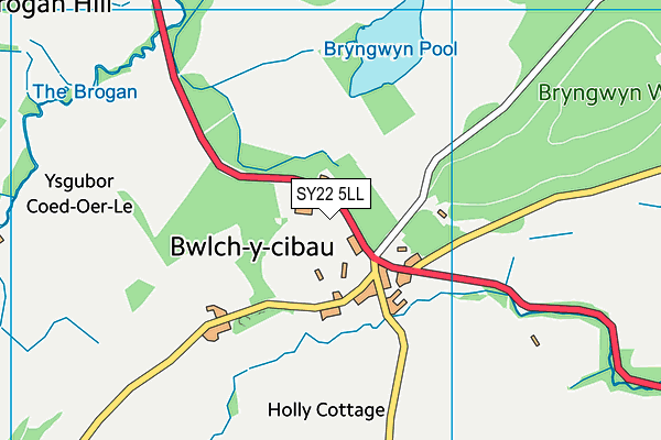 SY22 5LL map - OS VectorMap District (Ordnance Survey)