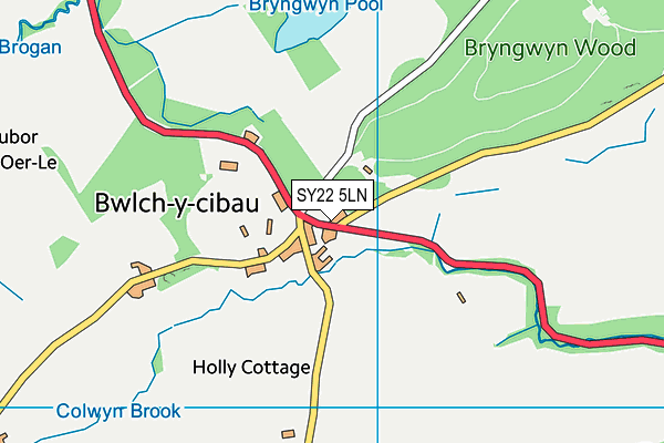 SY22 5LN map - OS VectorMap District (Ordnance Survey)