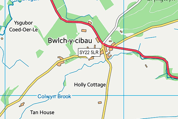 SY22 5LR map - OS VectorMap District (Ordnance Survey)