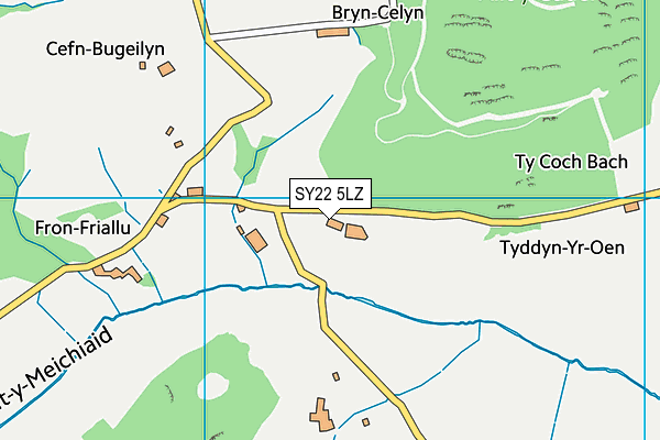 SY22 5LZ map - OS VectorMap District (Ordnance Survey)