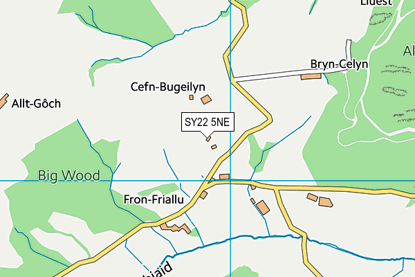 SY22 5NE map - OS VectorMap District (Ordnance Survey)