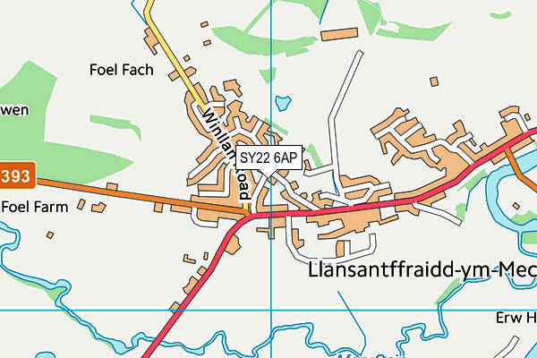 SY22 6AP map - OS VectorMap District (Ordnance Survey)